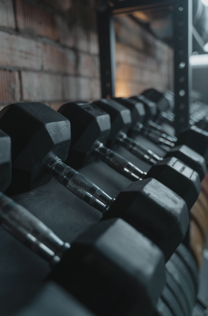 Gym Accessories
